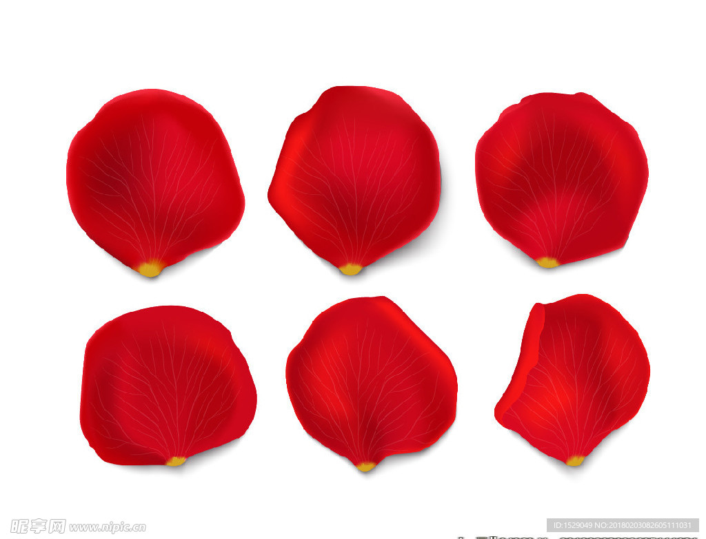 红色花瓣