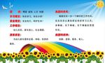 园训