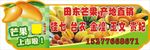 芒果批发招牌