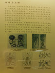 画像砖拓片