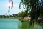 龙亭湖畔