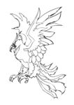 飞鸟