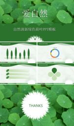 自然清新绿色荷叶PPT模板