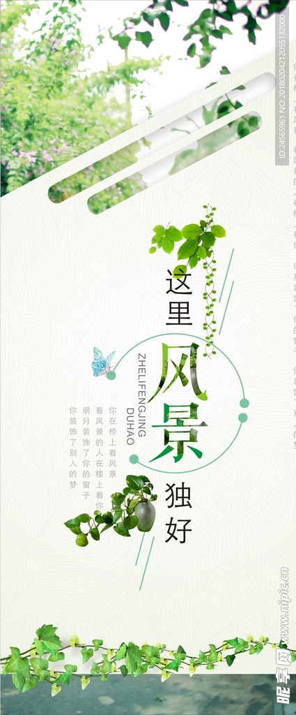 小清新易拉宝