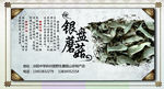 银盘蘑菇