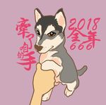狗狗牵手全年大顺