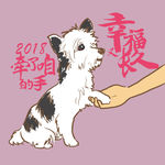 狗狗牵手幸福长久