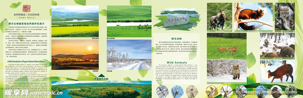 自然保护区绿色六折页