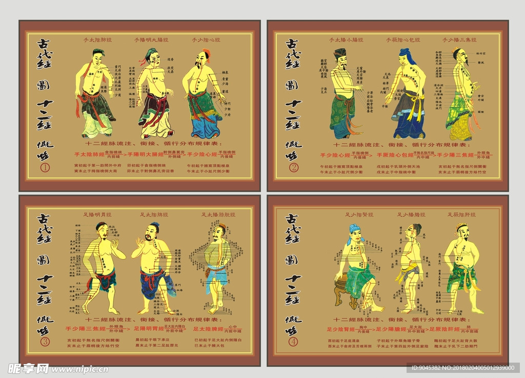 十二经络套图（可编辑）