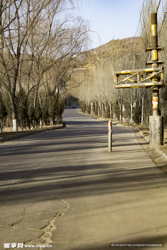 村中的公路