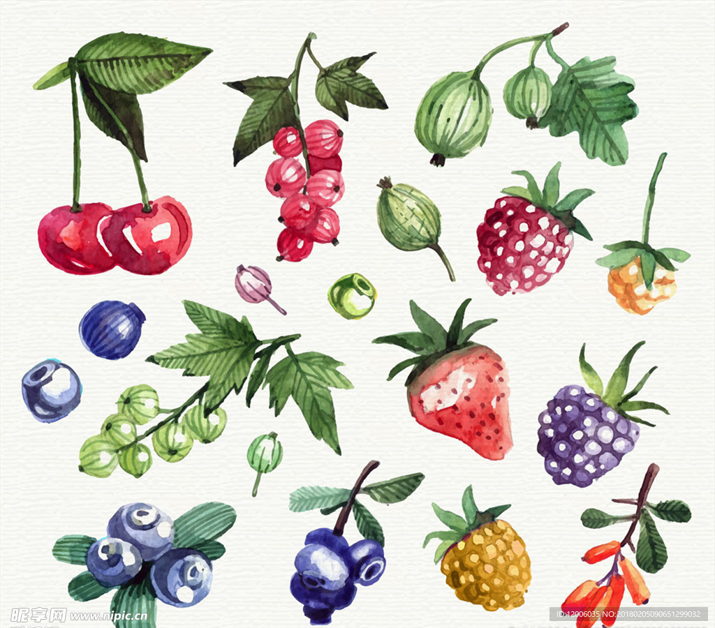 17款水彩绘新鲜水果矢量素材