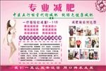 专业减肥
