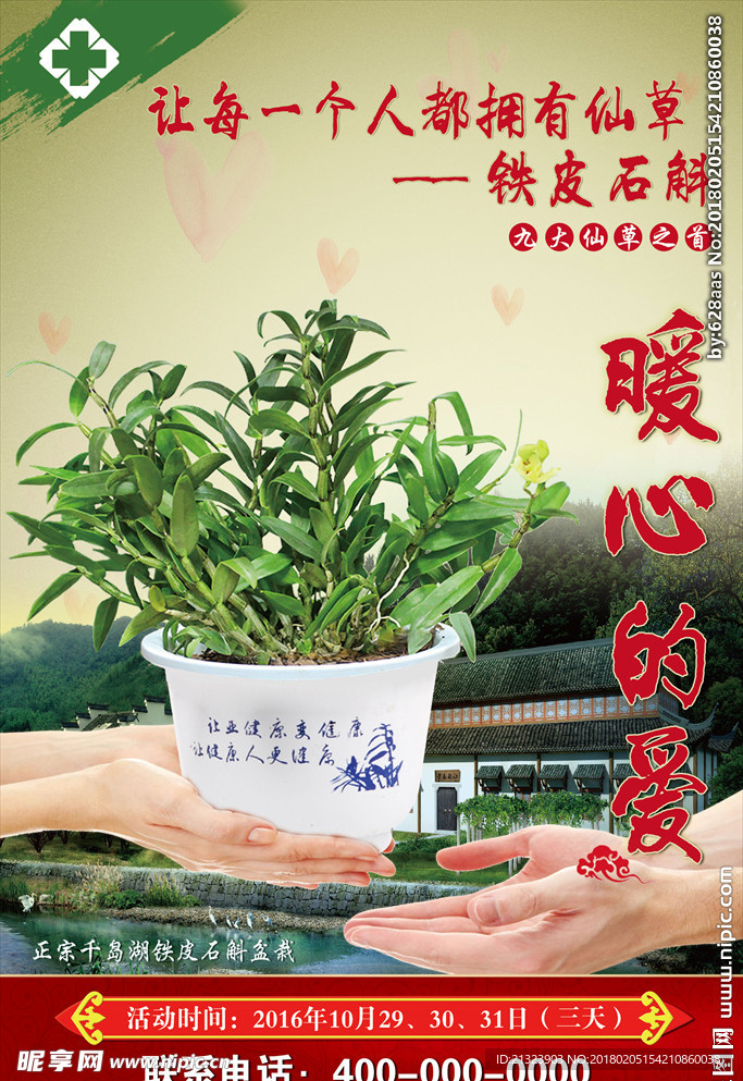 铁皮石斛