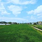 夏日乡村
