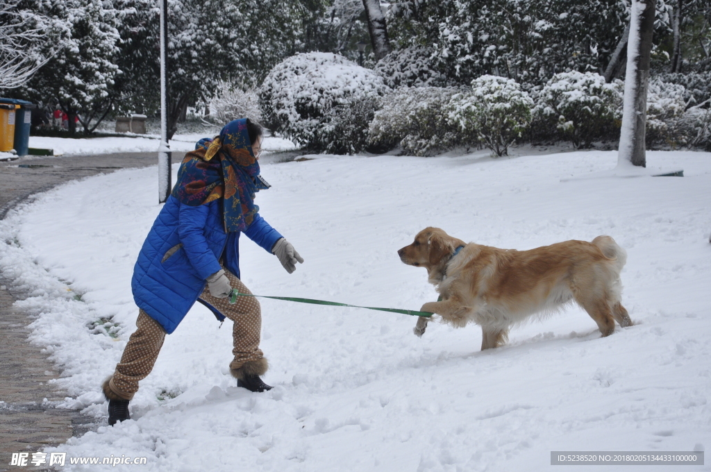 人与狗 冬季雪景