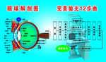 眼球解剖图
