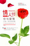 情人节