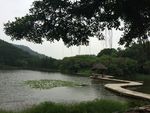 山水