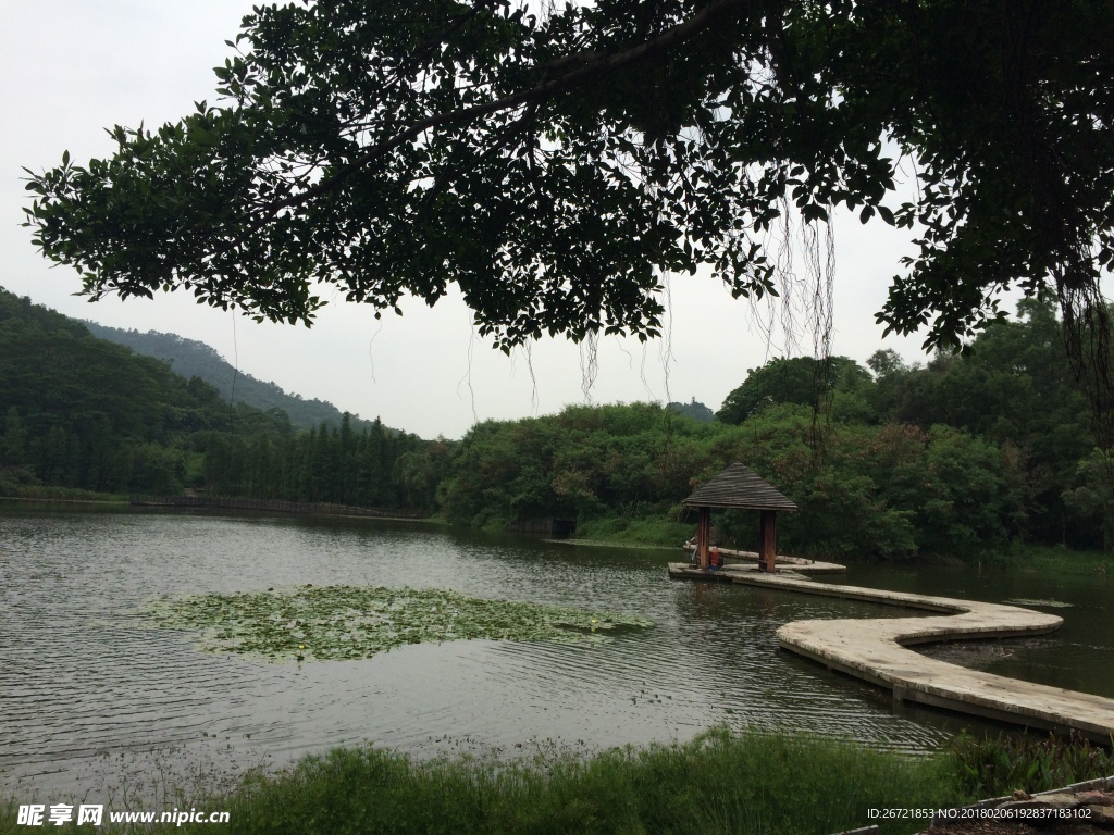 山水
