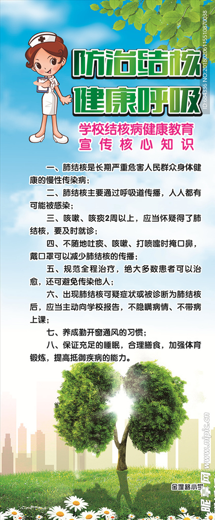 结核 肺病