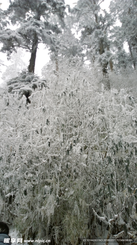 雪花