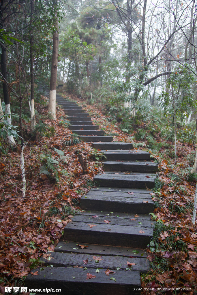 书堂山欧阳询文化园