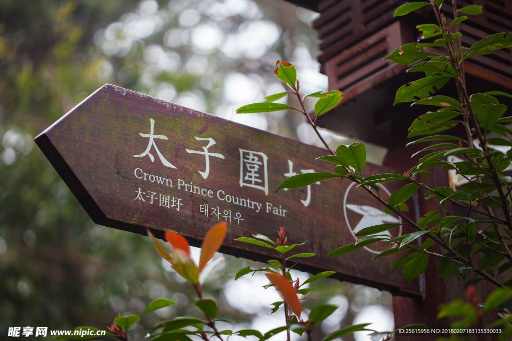 书堂山欧阳询文化园