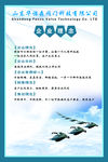 公司背景 公司简介