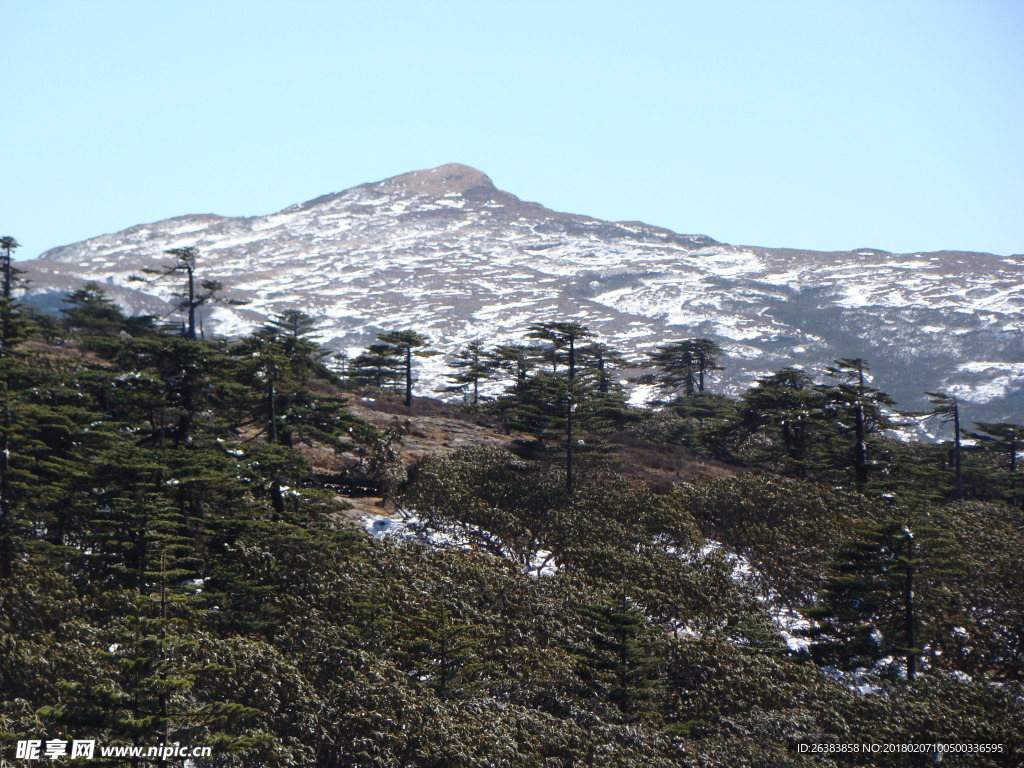 高山 云南