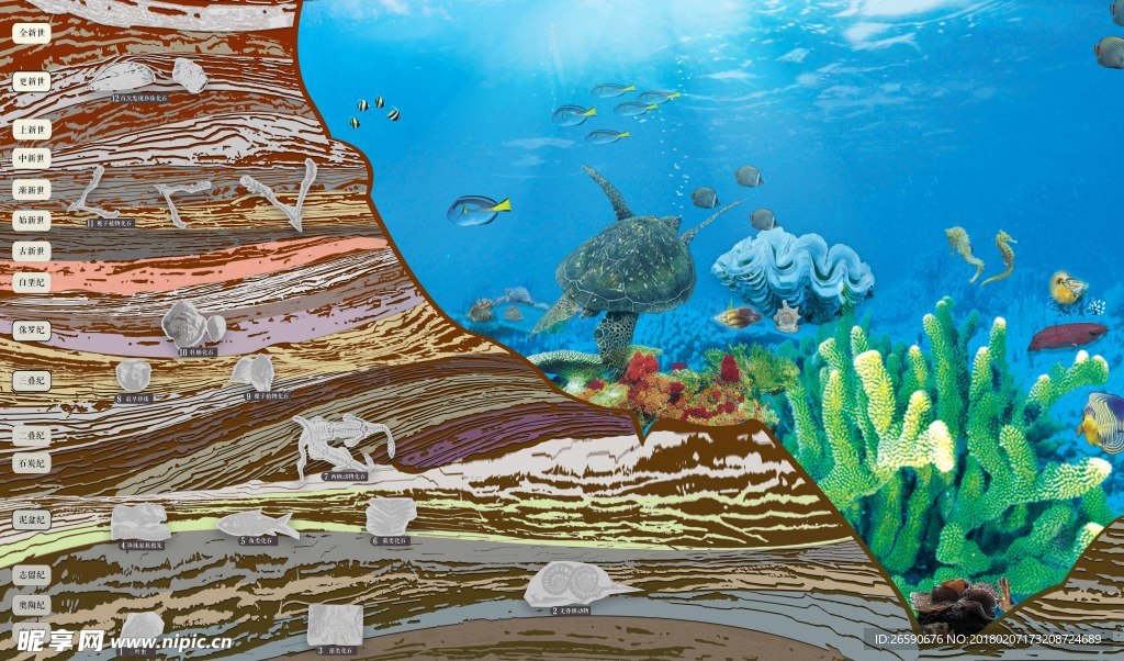 地质层年代及化石