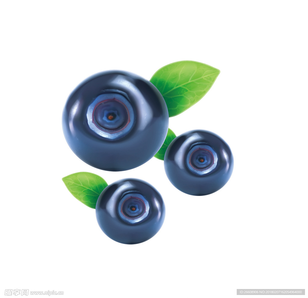 蓝莓