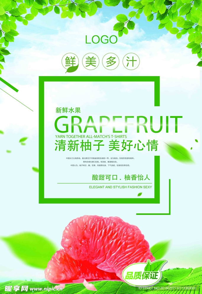 高清柚子海报