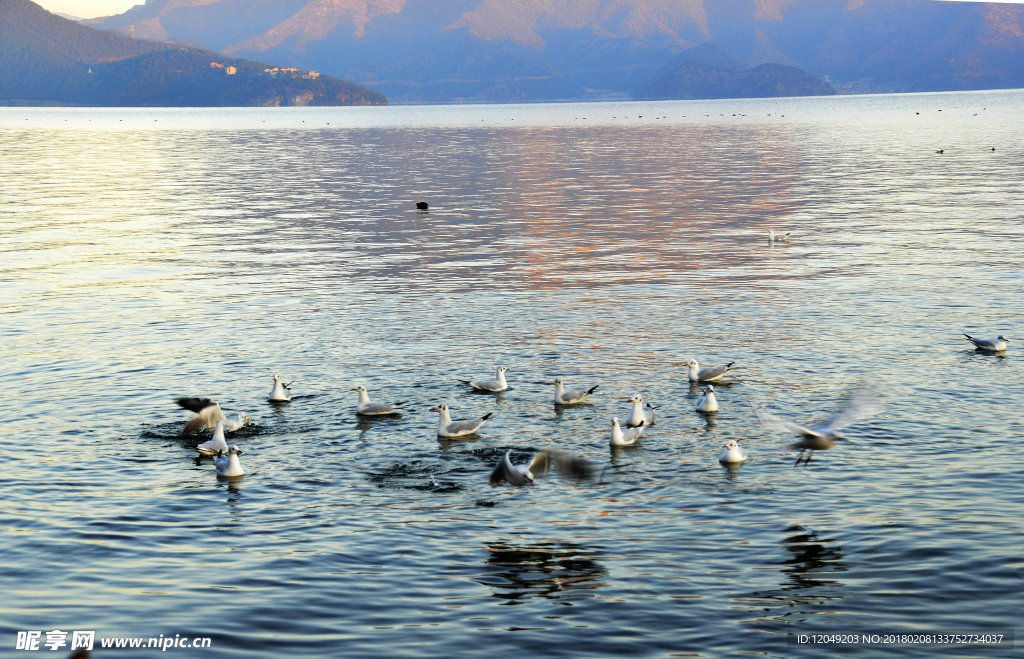 冬天的泸沽湖