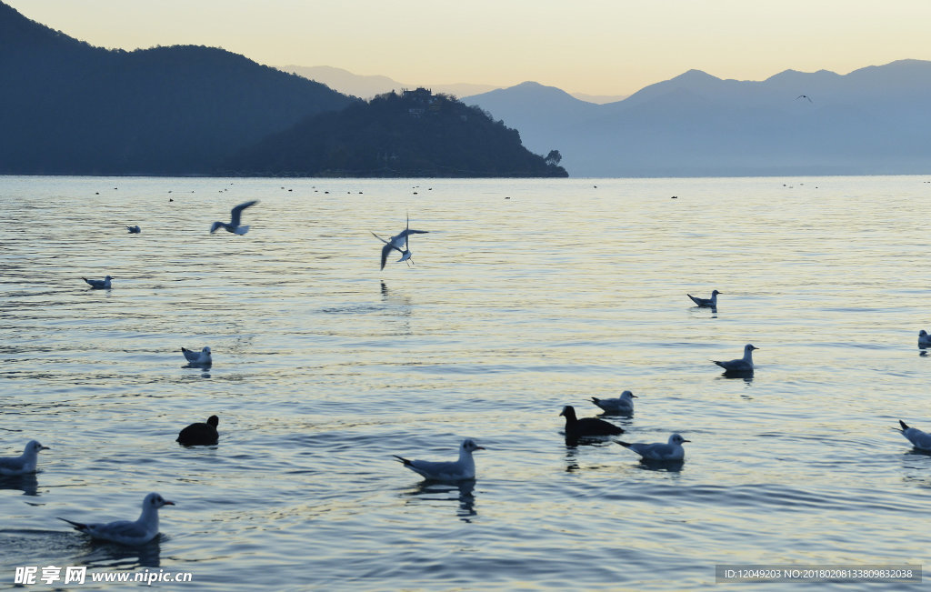 冬日 暖阳 日出 湖面 红胜火