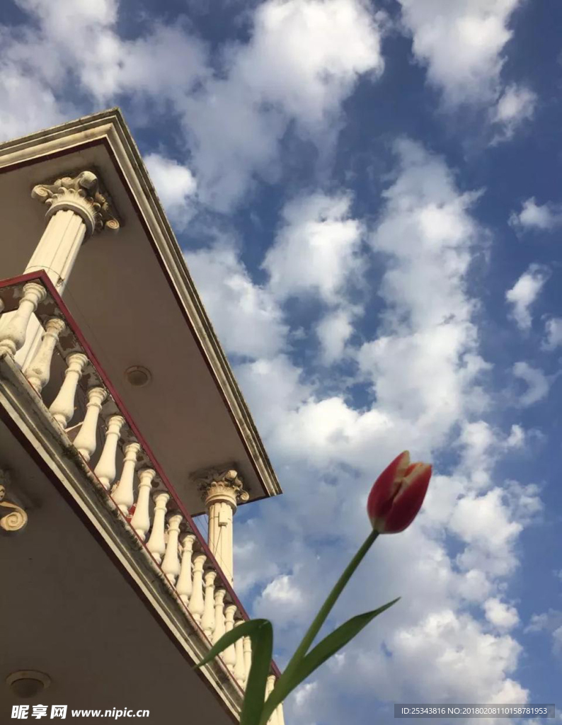 花