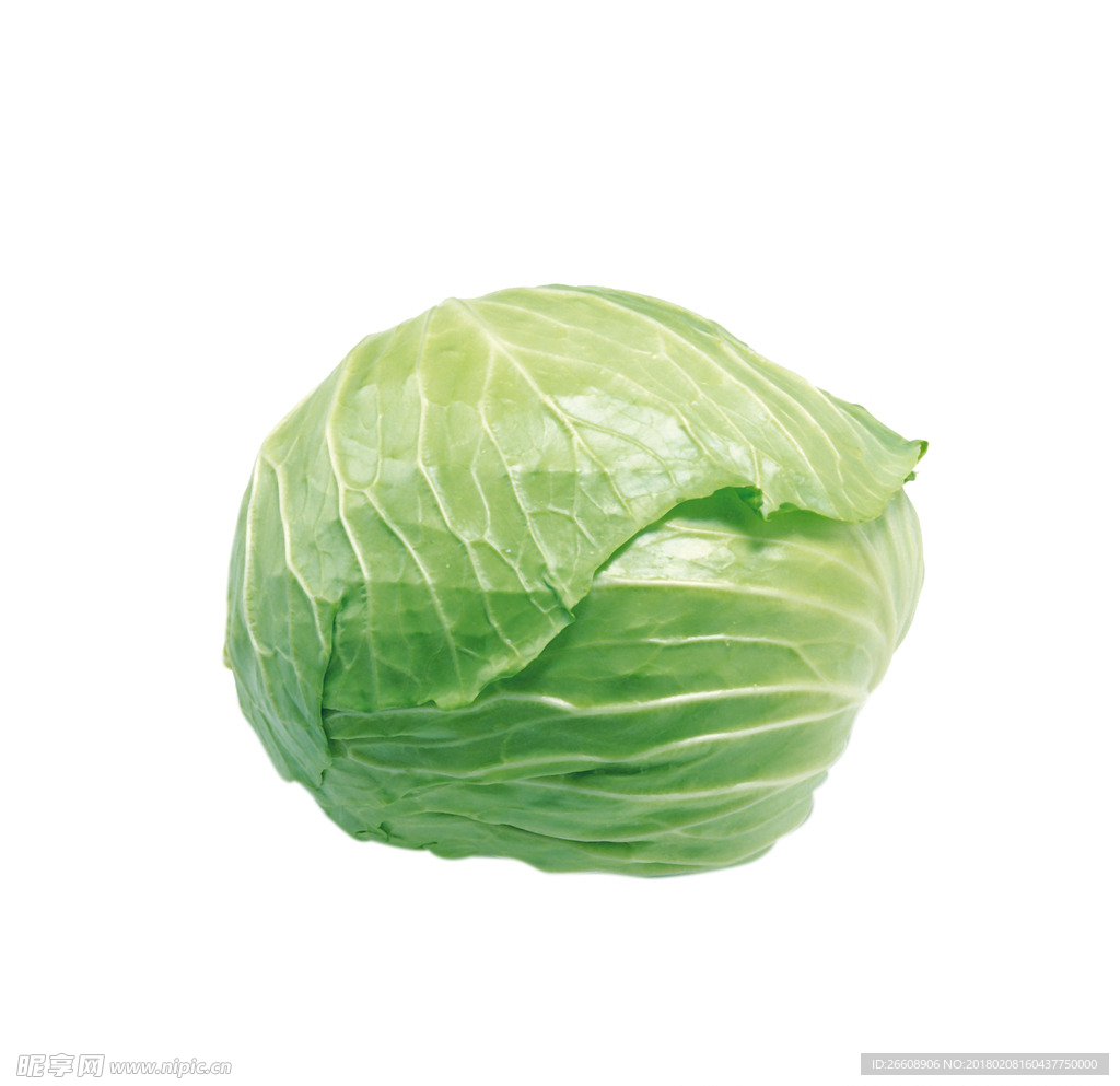 包心菜