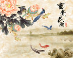 富贵花开