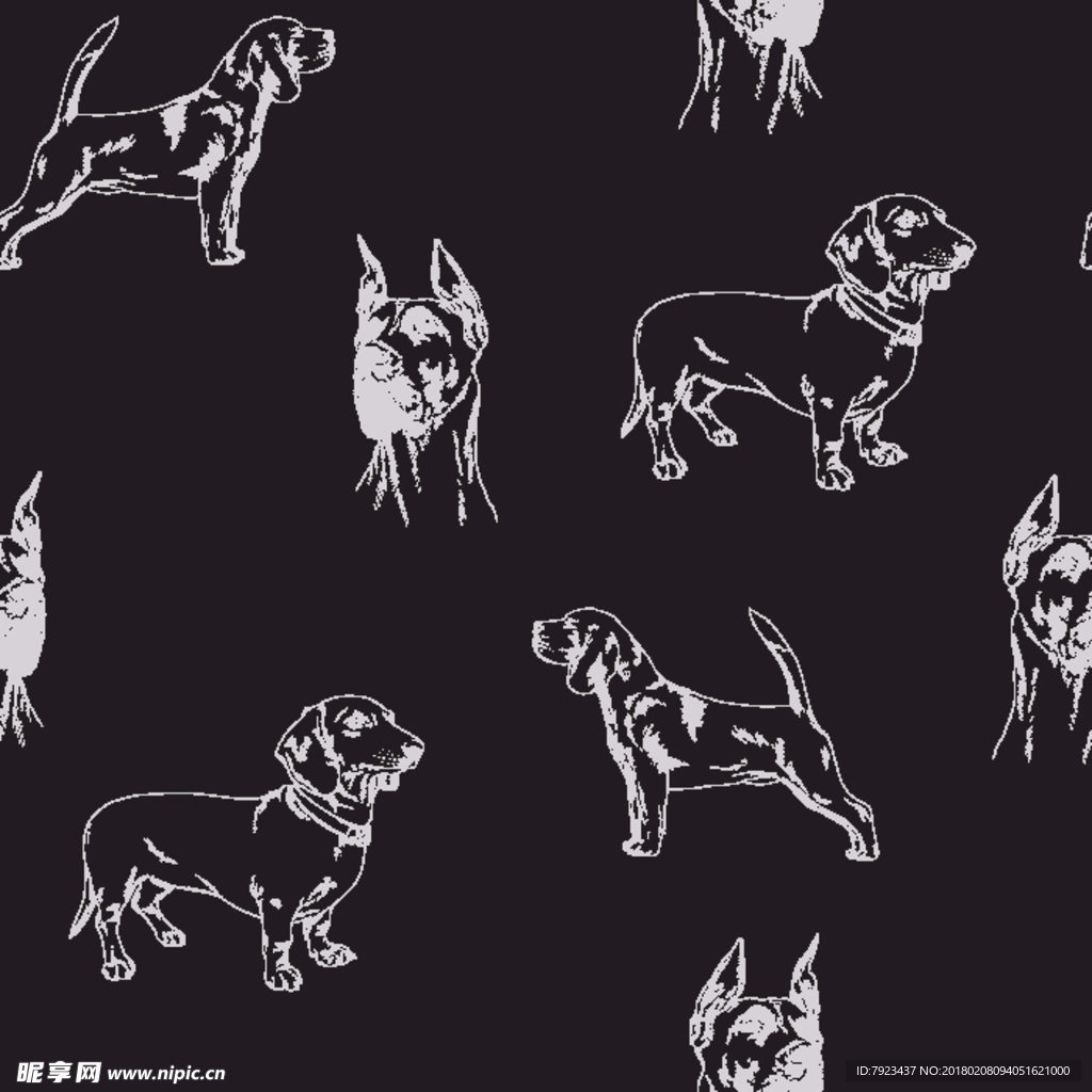 黑白狗