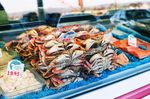 海鲜 水产