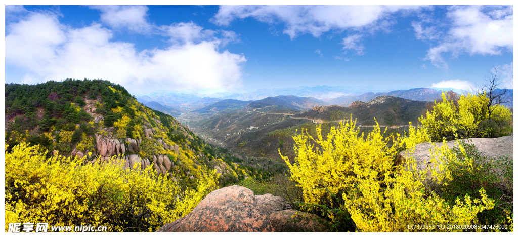 黄花山