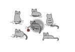 猫