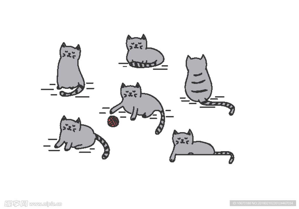 猫