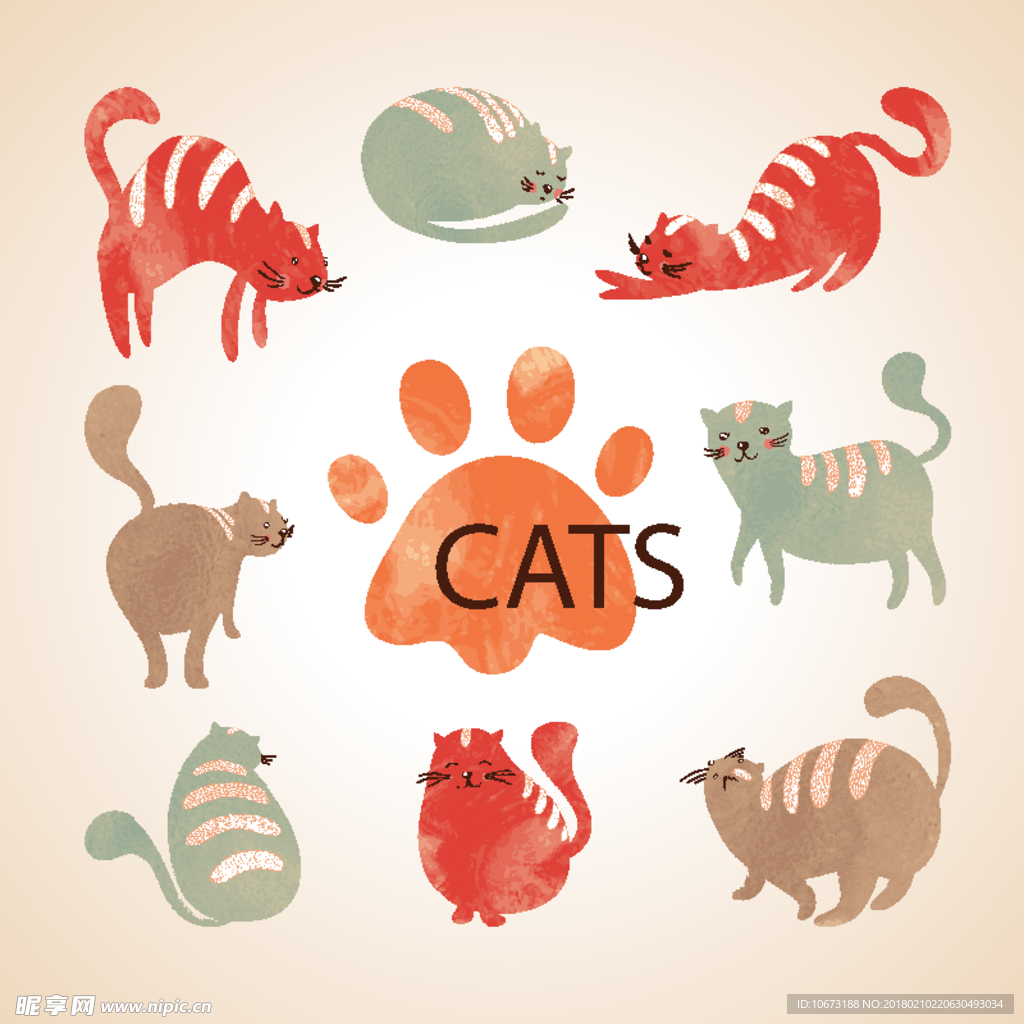 猫