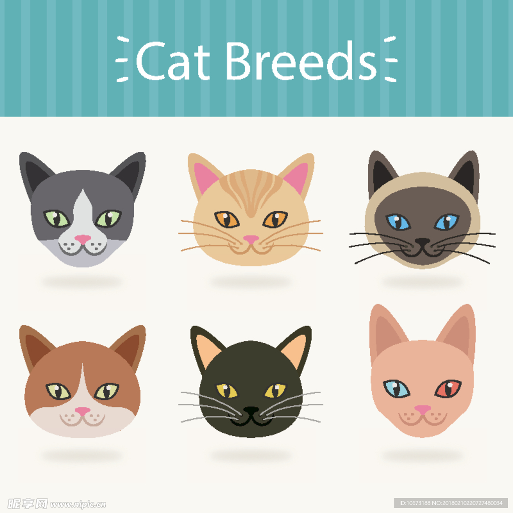 猫