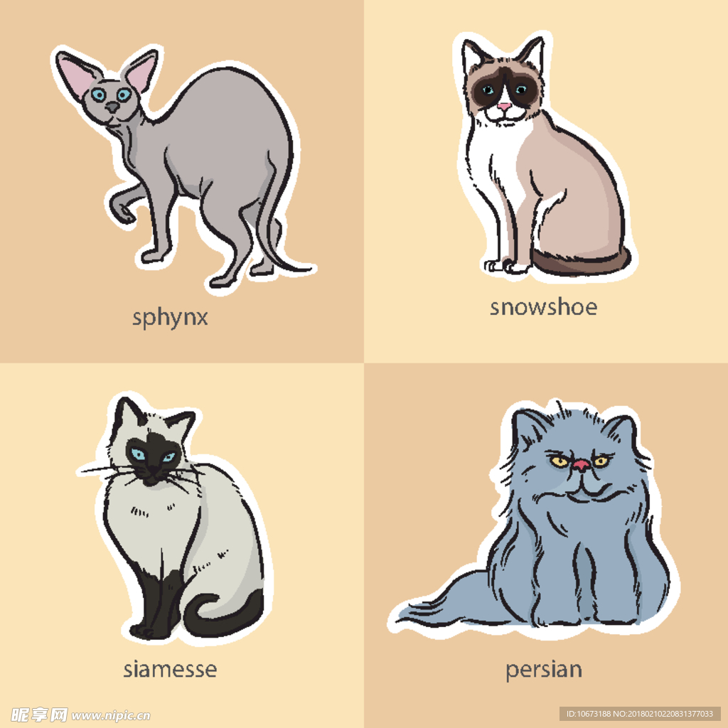猫
