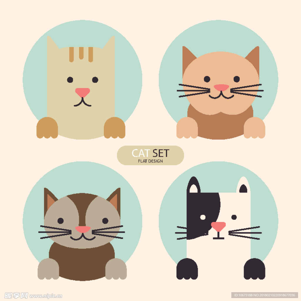猫