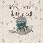 猫