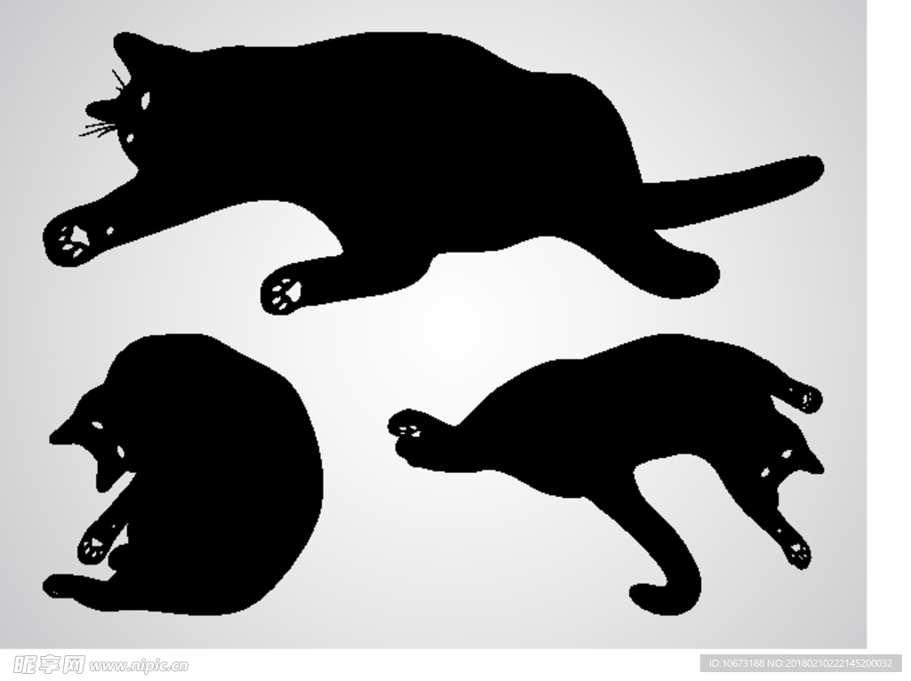 猫