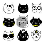 猫