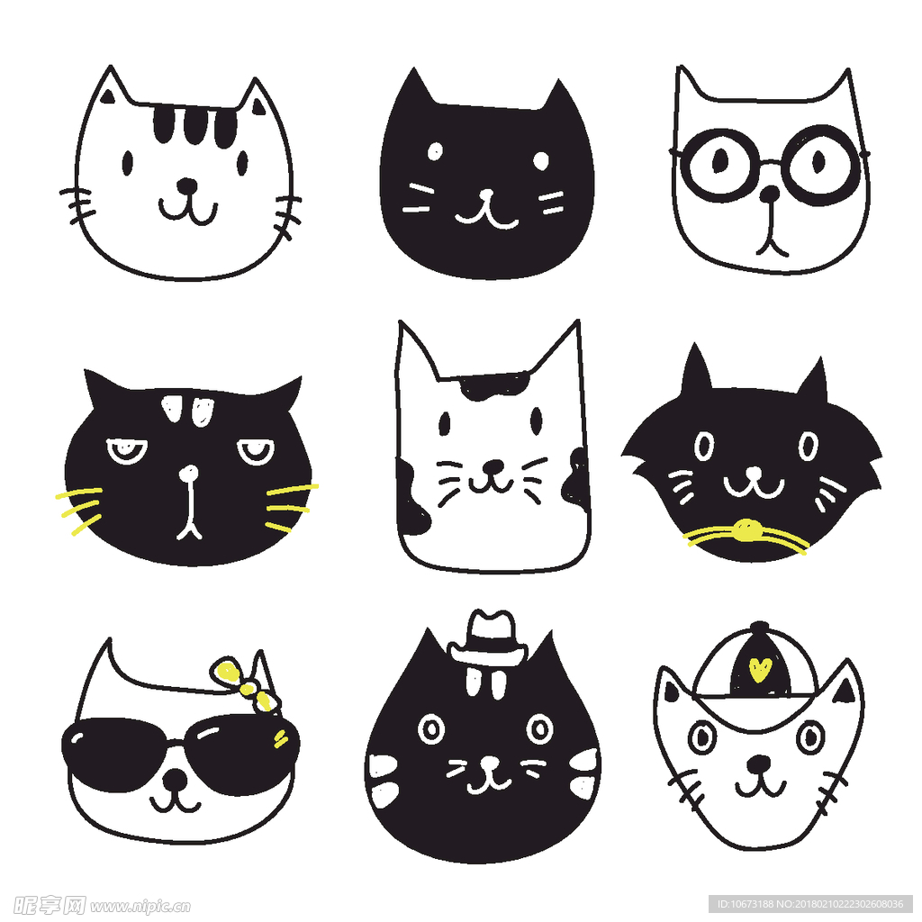 猫